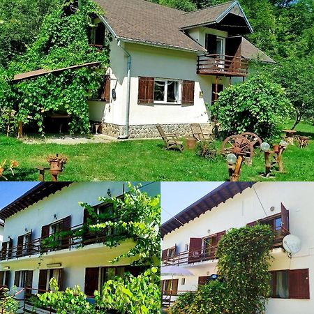 Villa Complex Adela Transfagarasan Cîrţişoara Exterior foto