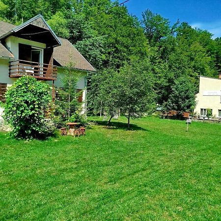 Villa Complex Adela Transfagarasan Cîrţişoara Exterior foto