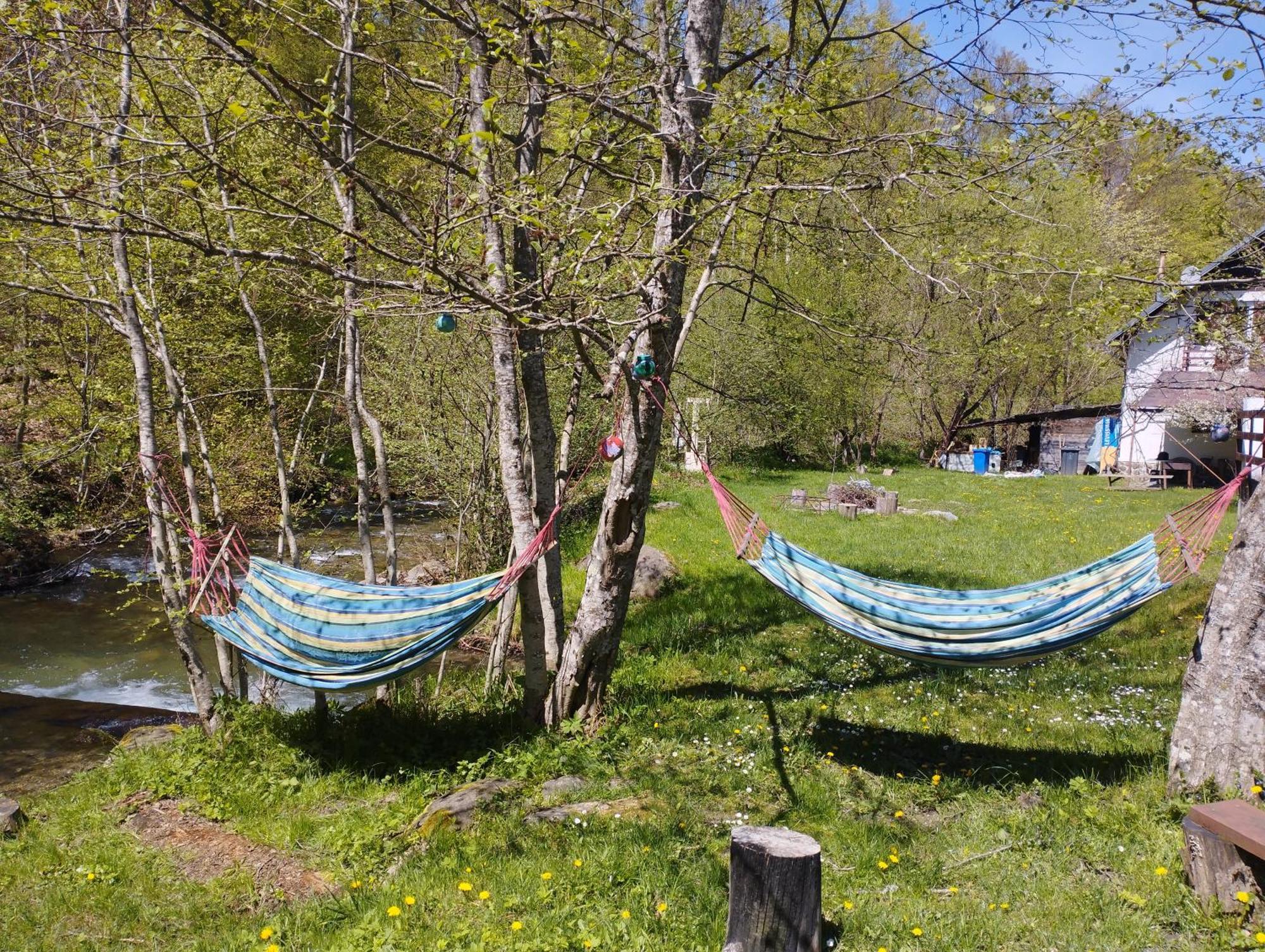 Villa Complex Adela Transfagarasan Cîrţişoara Exterior foto