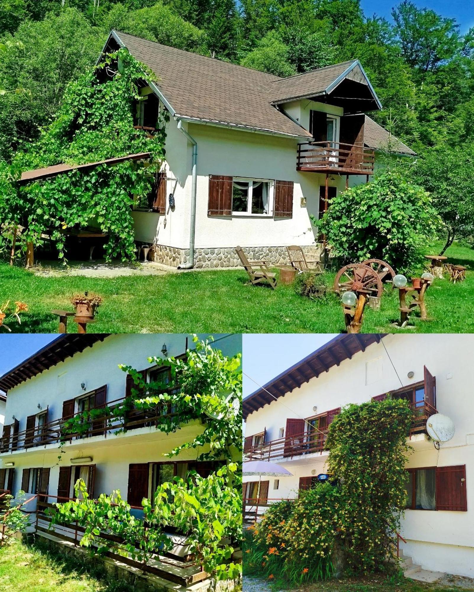 Villa Complex Adela Transfagarasan Cîrţişoara Exterior foto