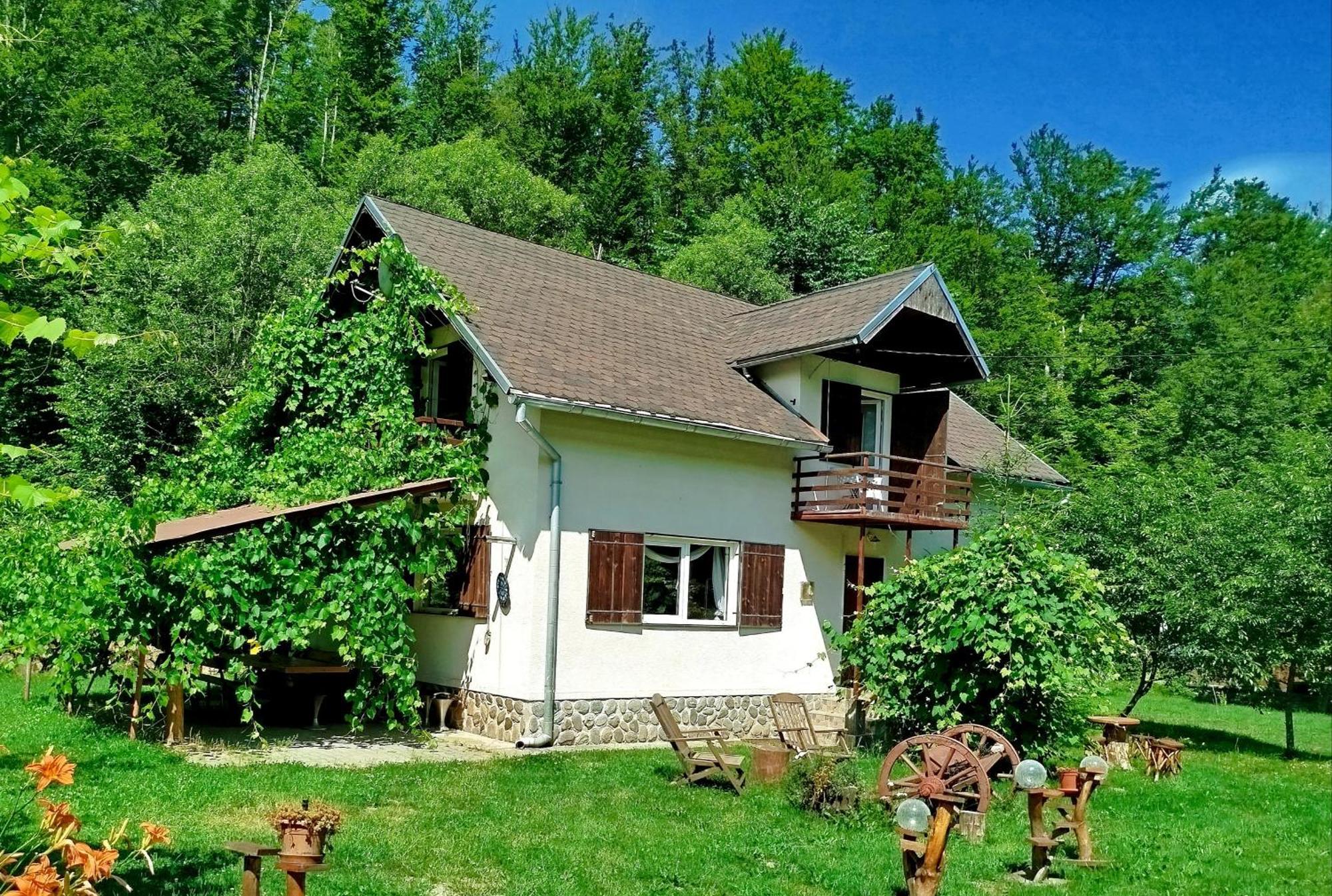 Villa Complex Adela Transfagarasan Cîrţişoara Exterior foto