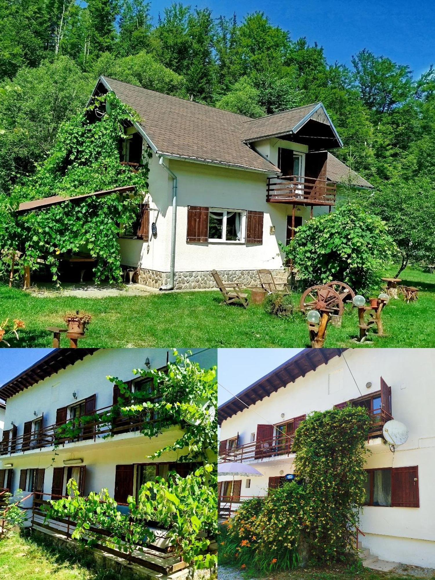 Villa Complex Adela Transfagarasan Cîrţişoara Exterior foto