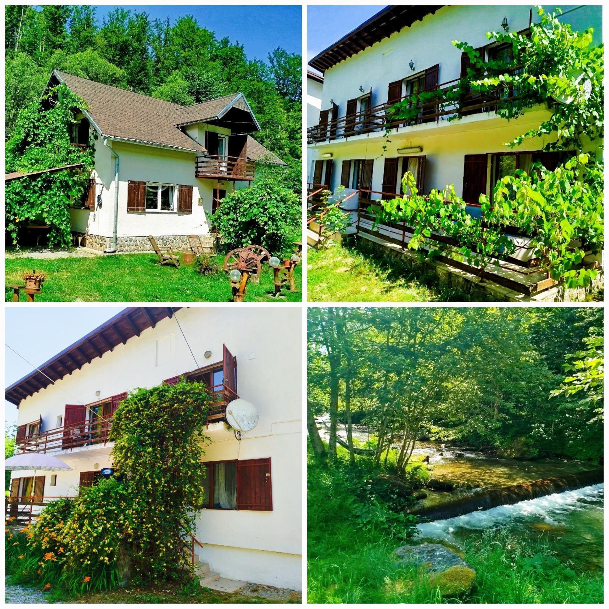 Villa Complex Adela Transfagarasan Cîrţişoara Exterior foto