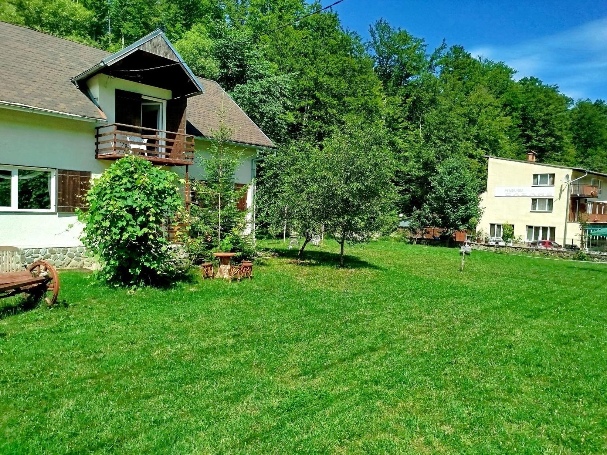 Villa Complex Adela Transfagarasan Cîrţişoara Exterior foto