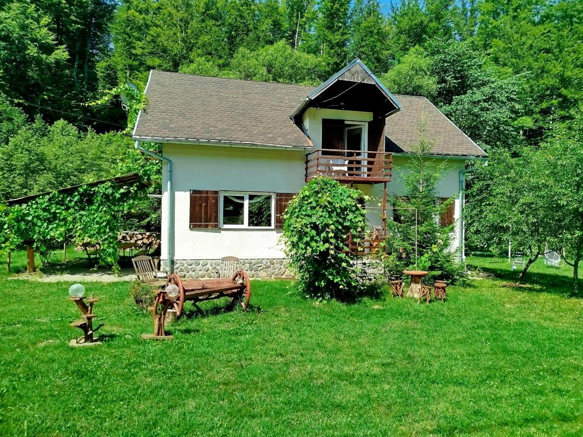 Villa Complex Adela Transfagarasan Cîrţişoara Exterior foto