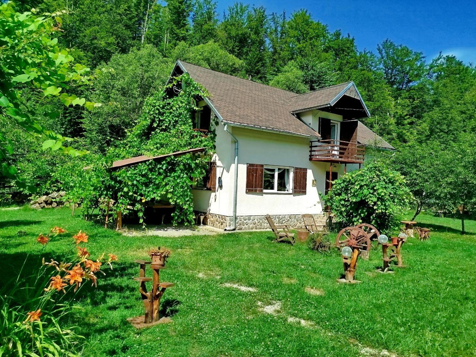 Villa Complex Adela Transfagarasan Cîrţişoara Exterior foto