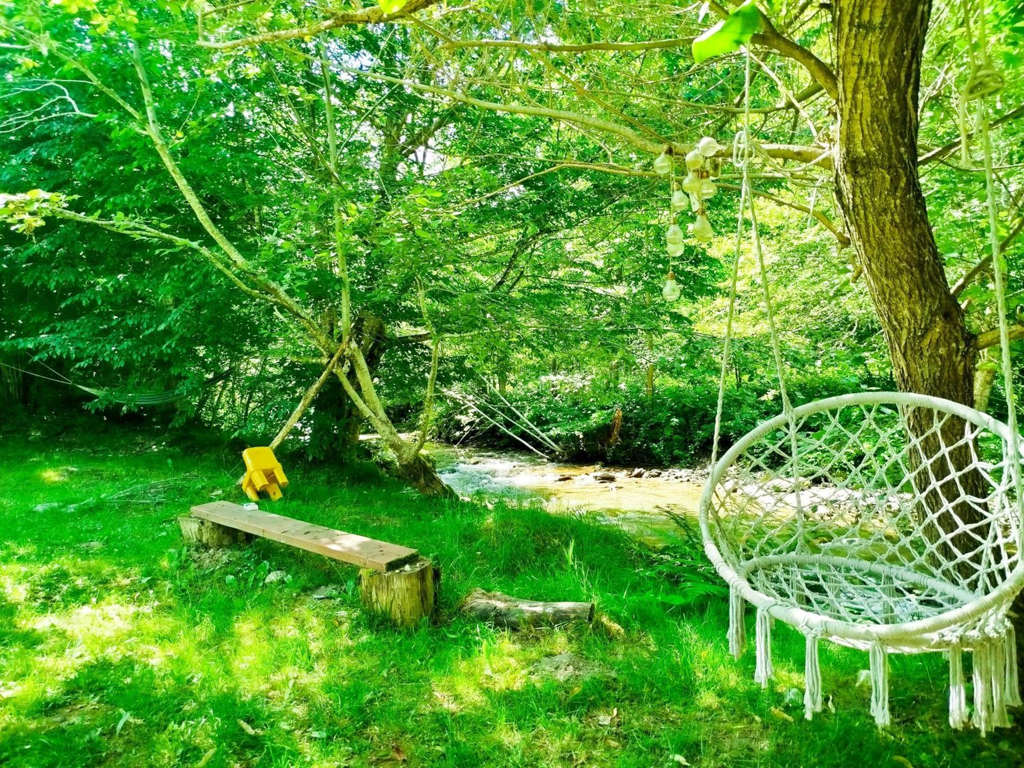 Villa Complex Adela Transfagarasan Cîrţişoara Exterior foto