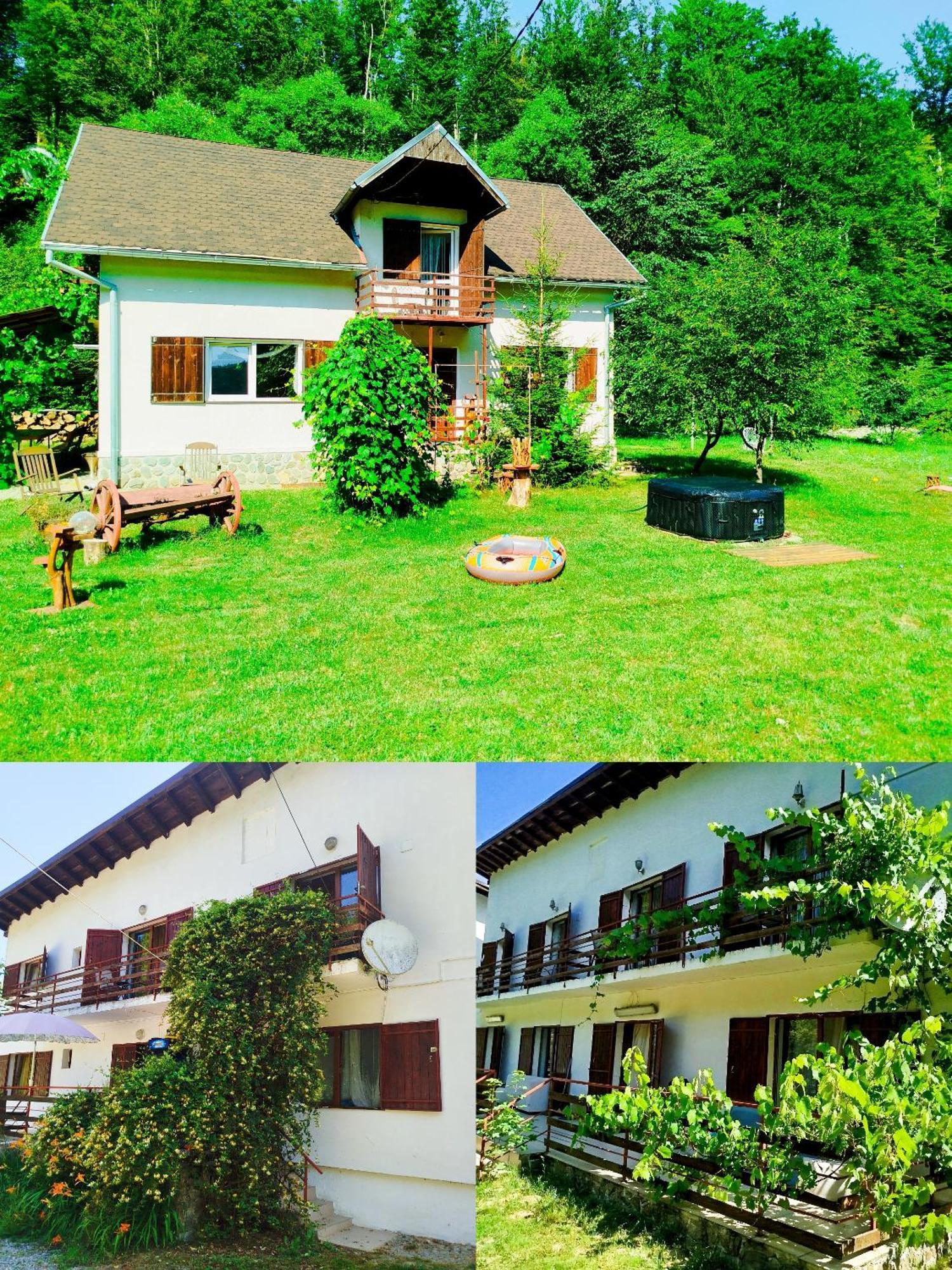 Villa Complex Adela Transfagarasan Cîrţişoara Exterior foto