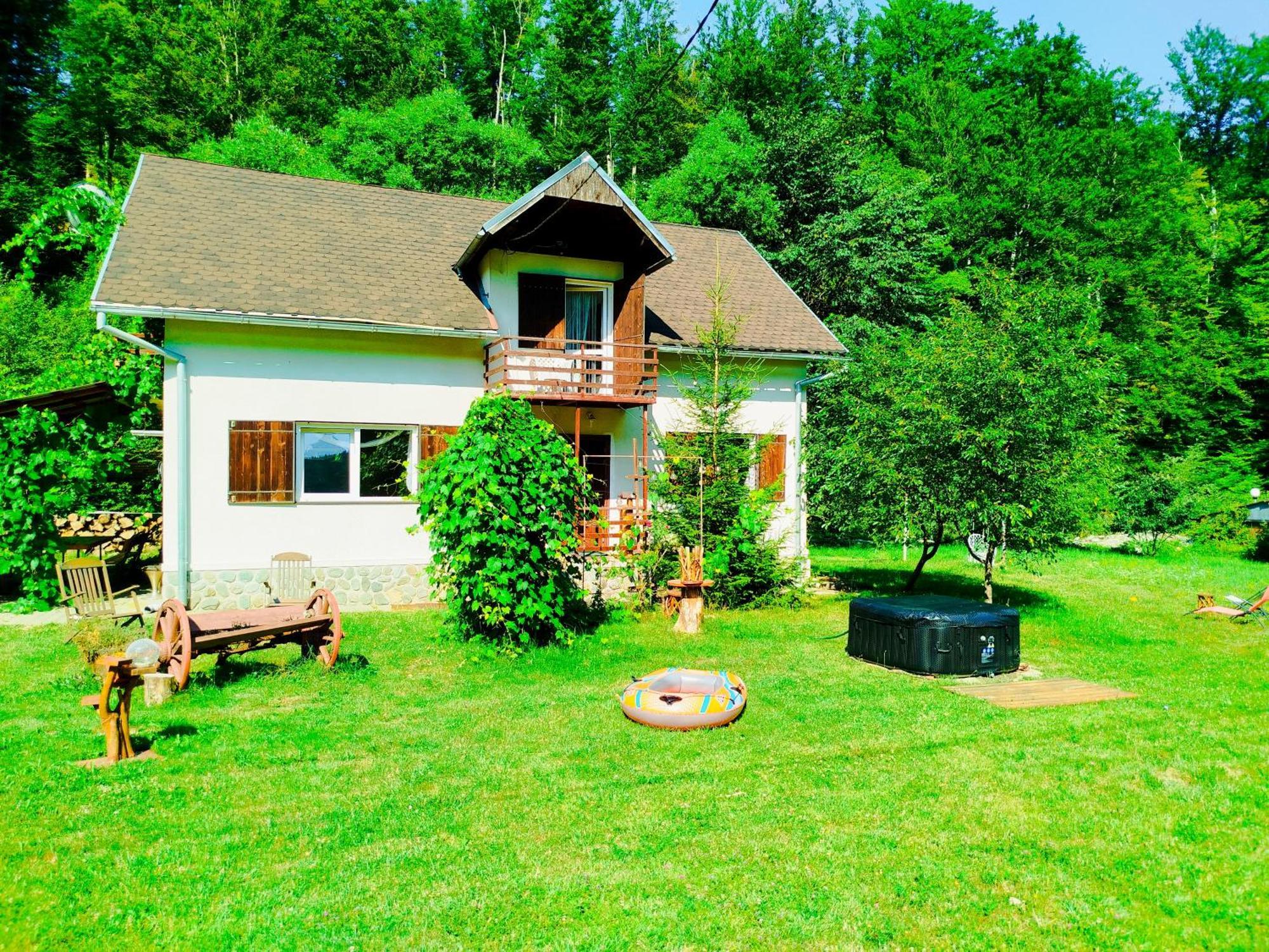 Villa Complex Adela Transfagarasan Cîrţişoara Exterior foto